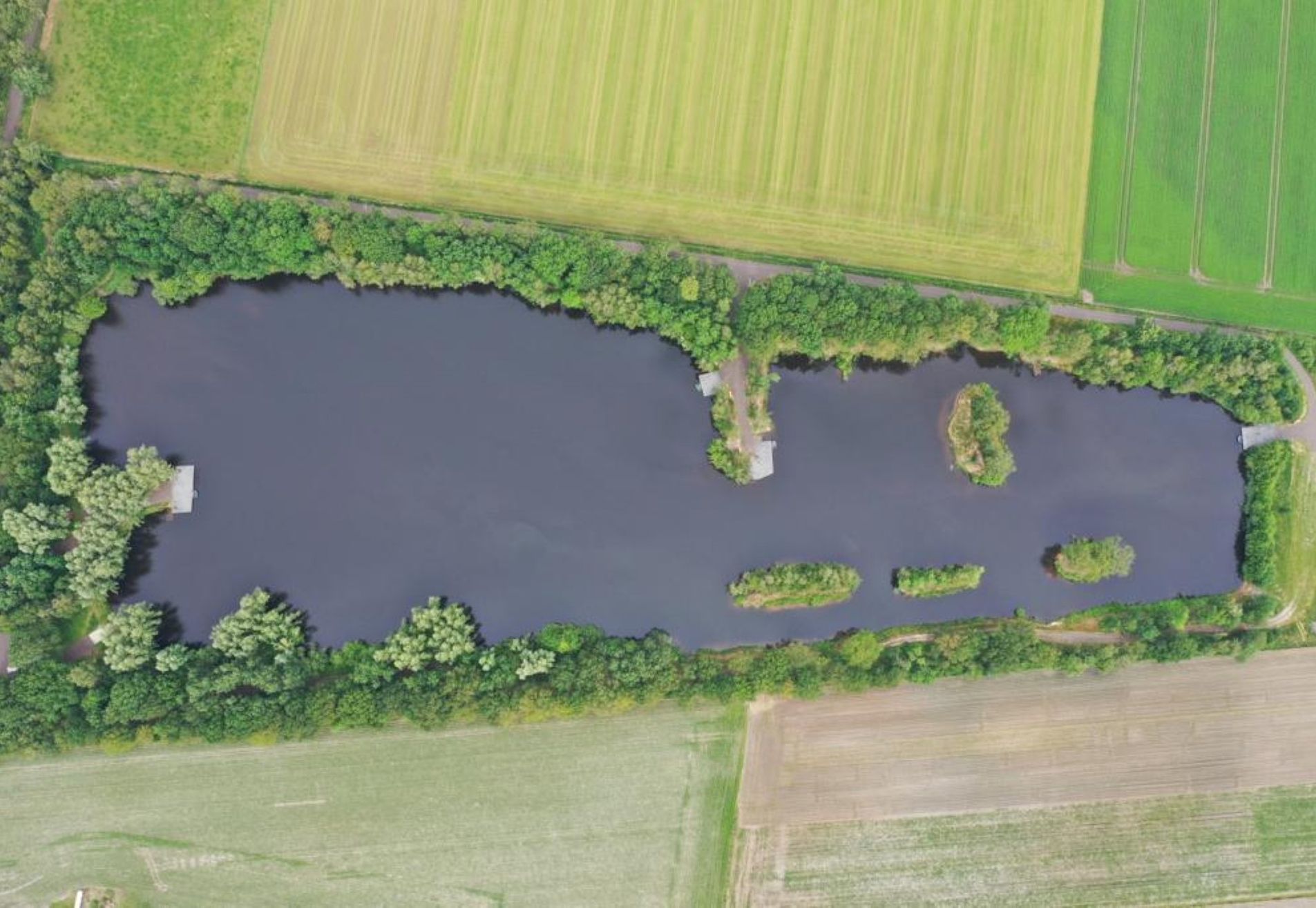 Glory Carp lake 