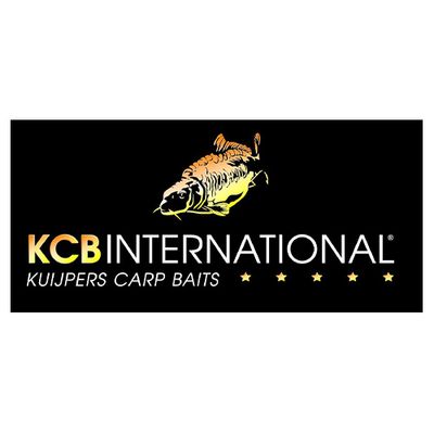 Partner KCB international