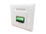 Walloutlet 