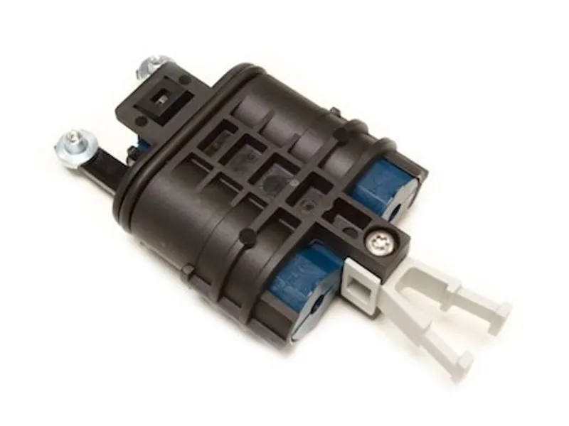 Bpeo evol closure 